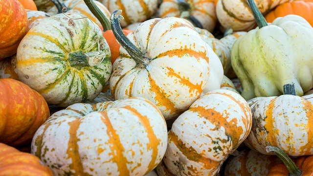 Gezondheidsvoordelen pompoen